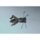 Wards Panfish Cricket