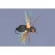 Whitlocks Periodic Cicada