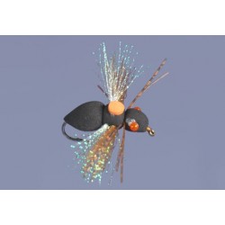 Whitlocks Periodic Cicada