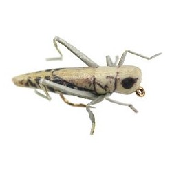 X True Hopper Grey