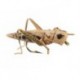 X True Hopper Tan