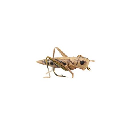 X True Hopper Tan