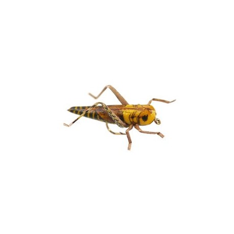 X True Hopper Yellow Brown