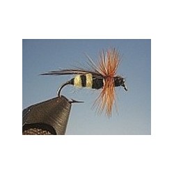 Yellow Jacket