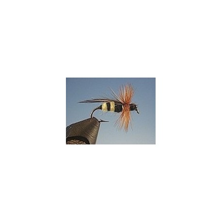 Yellow Jacket