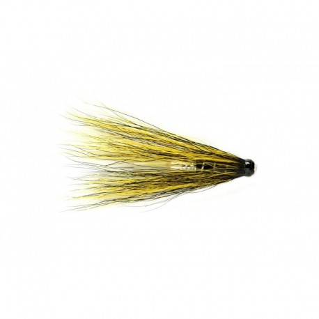 Black & Yellow