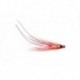 Feeler Junction Shrimp