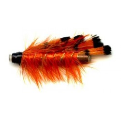 General Practitioner Tube Fly