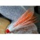 Junctionshrimp