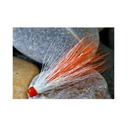 Junctionshrimp