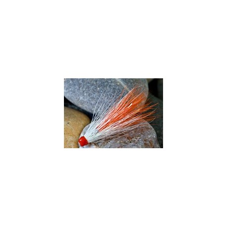 Junctionshrimp