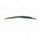 Laerdal Sunray Shadow Blue