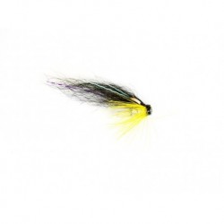 Micro Td Black & Yellow