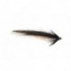 Mini Conehead Sunray