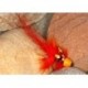 Orange & Black Pbp Ch
