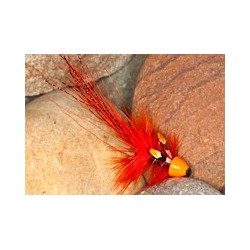 Orange & Black Pbp Ch