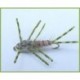 Gold Bead Epoxy Back Silly Legs Gold Sto
