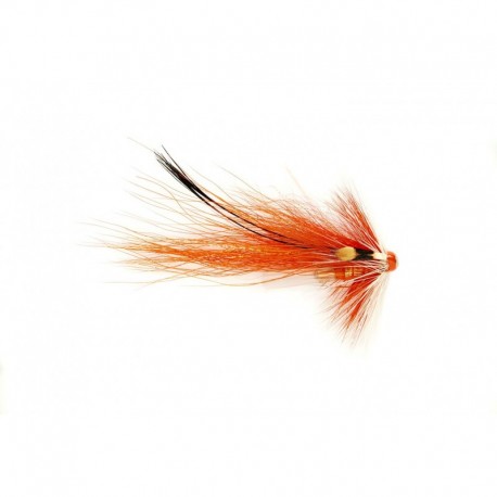 Piglet Junction Shrimp