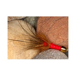 Redfrancisch