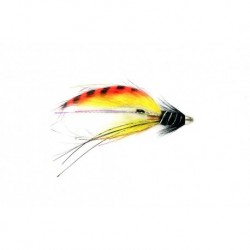 Rs Super Snaelda International