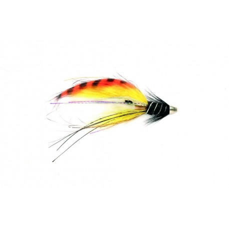 Rs Super Snaelda International