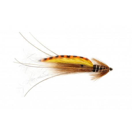 Rs Tiger Francis Black