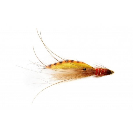 Rs Tiger Francis Red