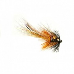 Willie Gunn Pot Bellied Pig
