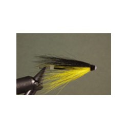 Yellow & Black