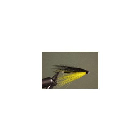Yellow & Black