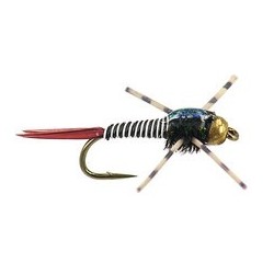 Bh Rl Epoxy Bob Zebra