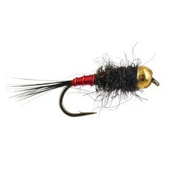 Black Red Catcher