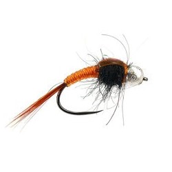 Body Glass Orange