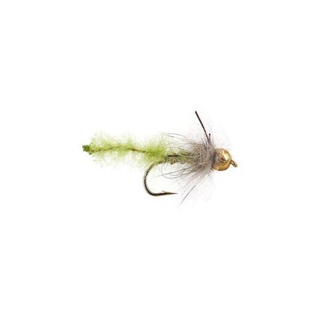 Caddis Pupa Olive