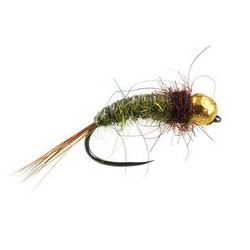 Classic Olive Nymph