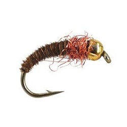 Comp Copper Ph