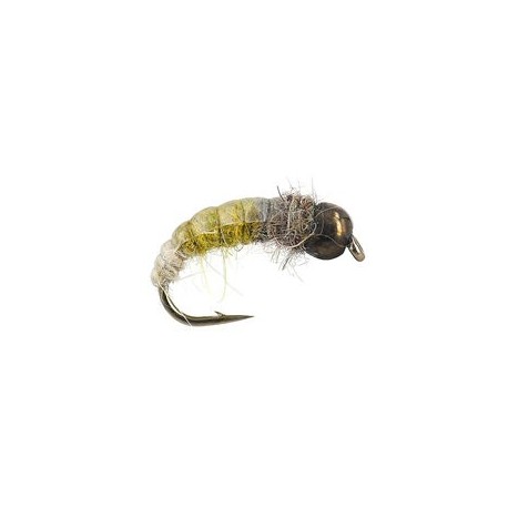Favourite Olive Champ