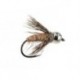 General Light Brown