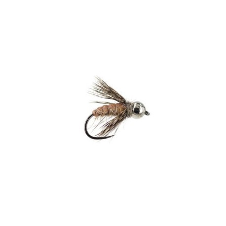 General Light Brown