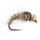 Gold Ribbed Hares Ear