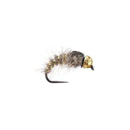 Gold Ribbed Hares Ear