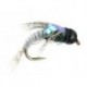 Grey Quill