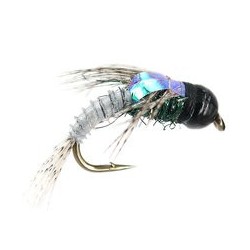 Grey Quill