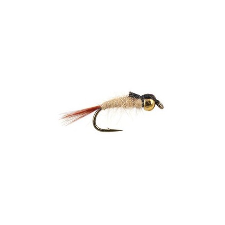 Grhe Nymph