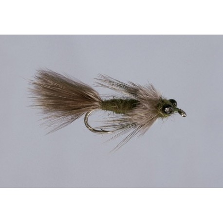 Great Lakes Olive Sparrow Nymph
