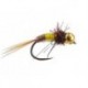 Little Bicolour Favourite