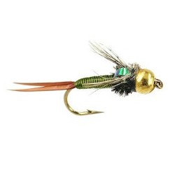 Olive Coper