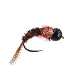 Pink Collar Nymph