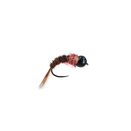 Pink Collar Nymph