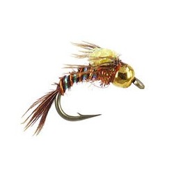Pmd Angel Case Emerger